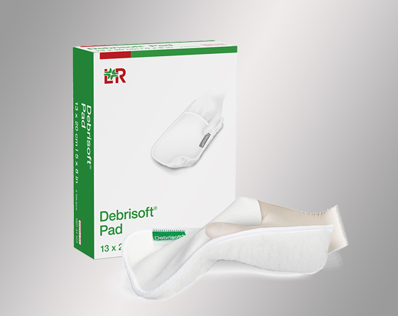 Debrisoft Pad (پد دبریسافت)