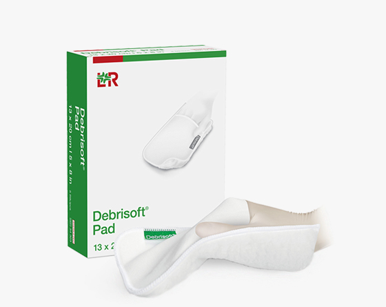 Debrisoft Pad (پد دبریسافت)