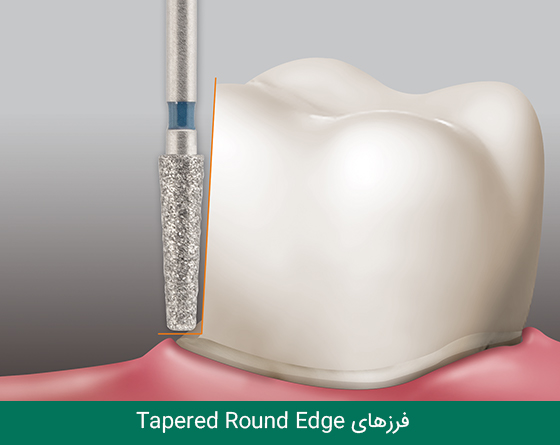 فرز دندانپزشکی مایزینگر